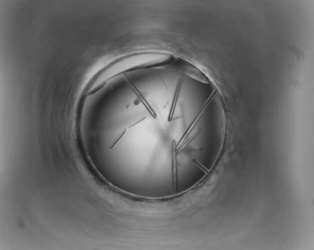 X0000111000008200907022147