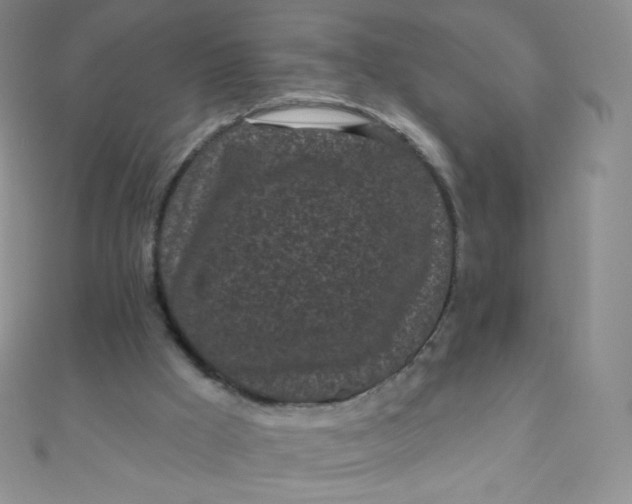 X0000111000009200907022147