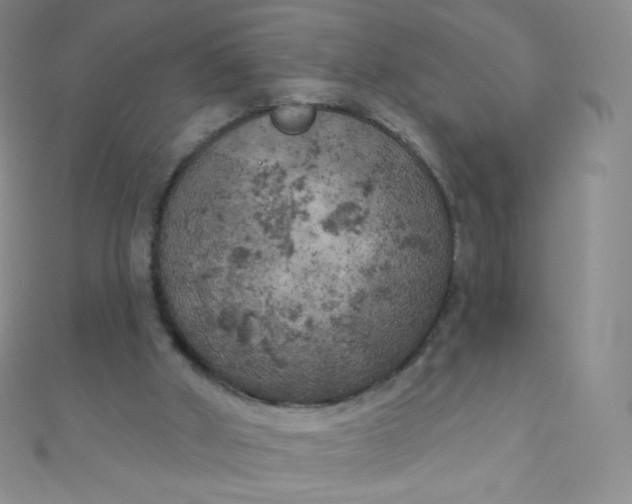 X0000111000010200907022147