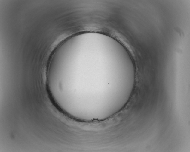 X0000111000011200907022147