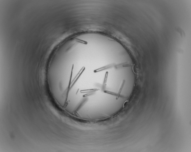 X0000111000012200907022147