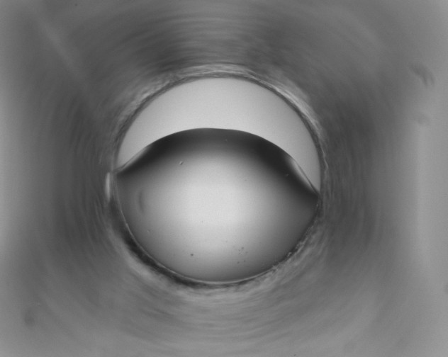 X0000111000013200907022147