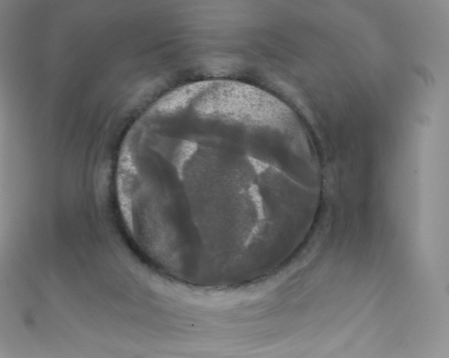 X0000111000018200907022146