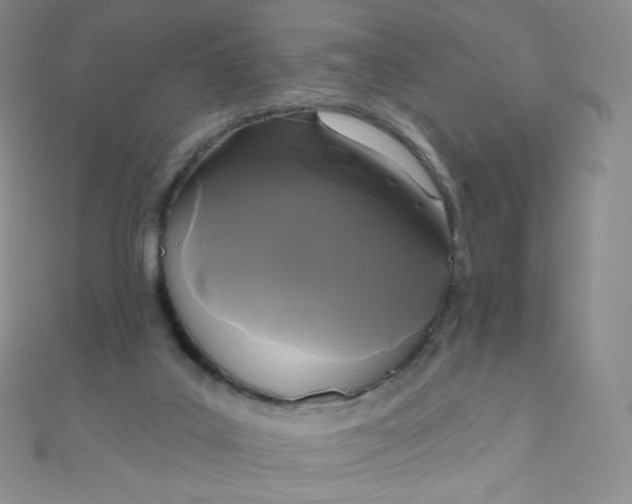 X0000111000019200907022146