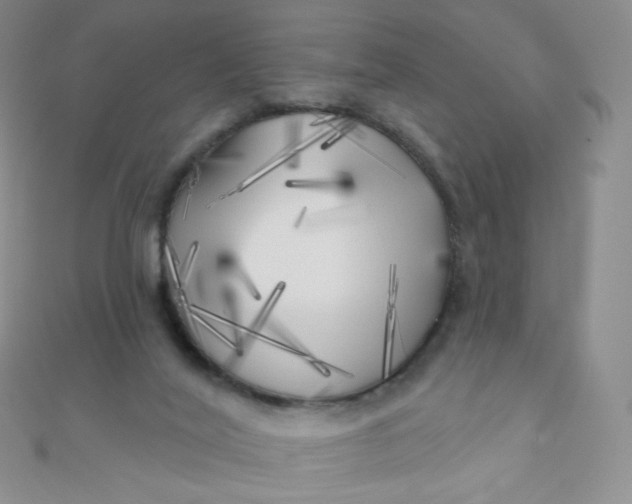 X0000111000020200907022146