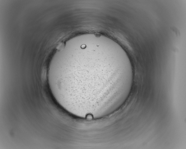 X0000111000021200907022146