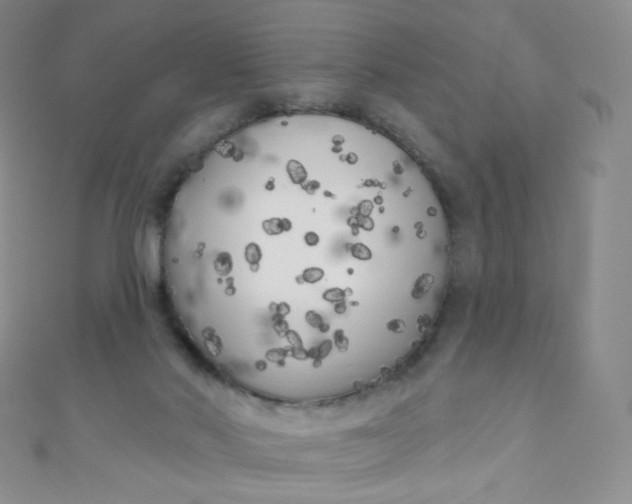 X0000111000022200907022146