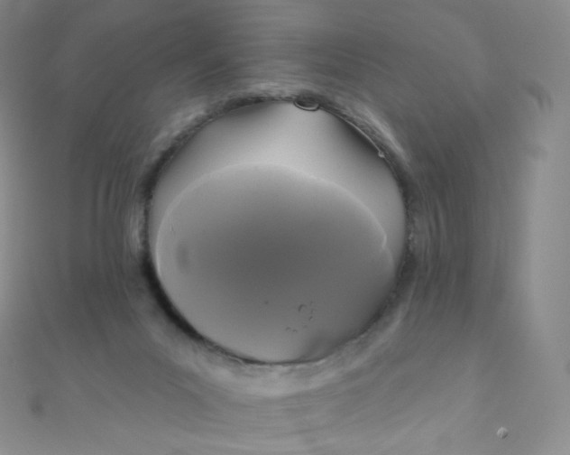 X0000111000023200907022146