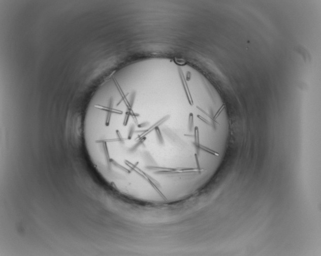 X0000111000024200907022146