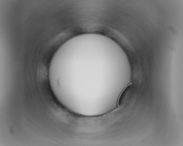 X0000111000025200907022146