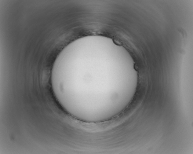 X0000111000030200907022146