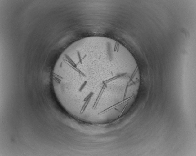 X0000111000032200907022146