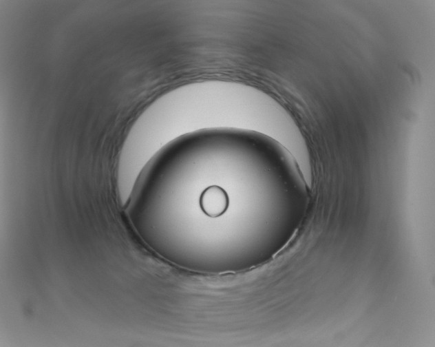 X0000111000033200907022146