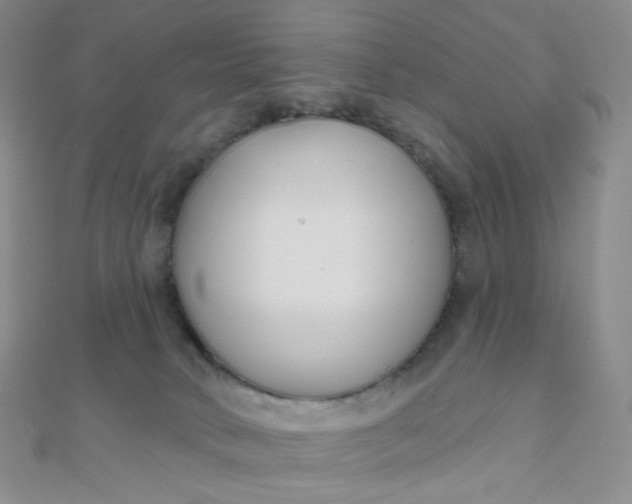 X0000111000034200907022146