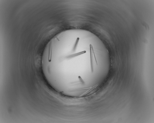 X0000111000036200907022146