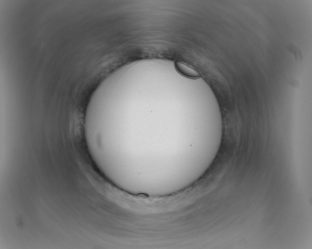 X0000111000038200907022146