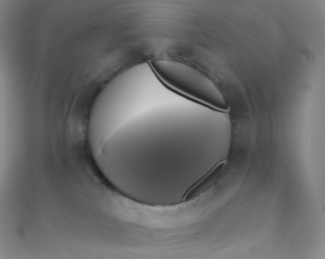 X0000111000039200907022146