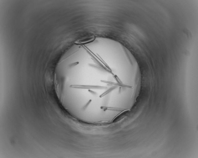 X0000111000040200907022146