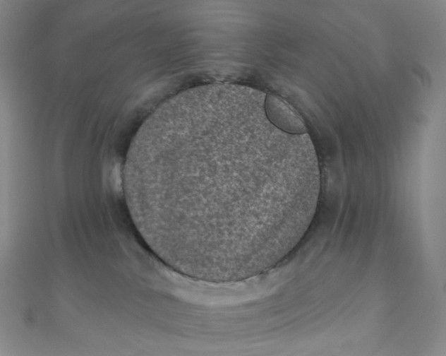 X0000111000042200907022146