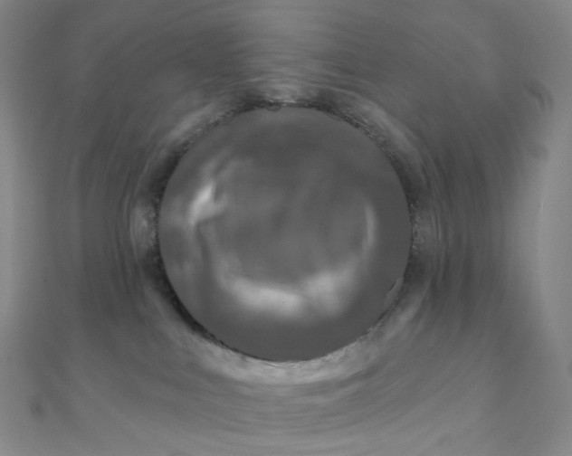 X0000111000043200907022146