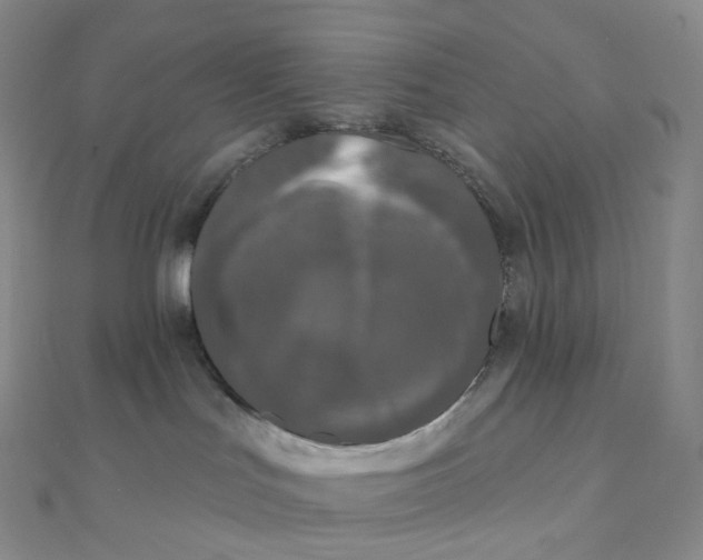 X0000111000047200907022146