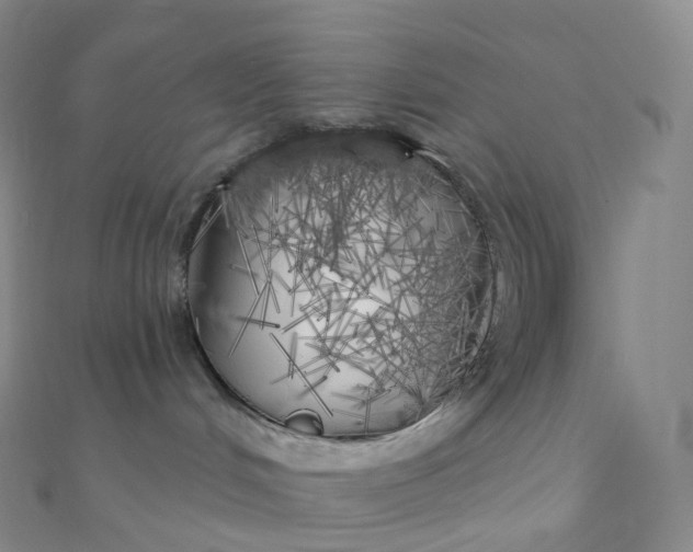 X0000111000048200907022146