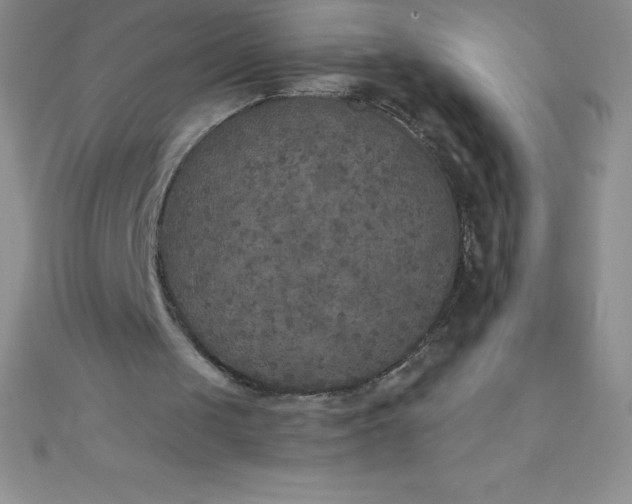 X0000111000049200907022145