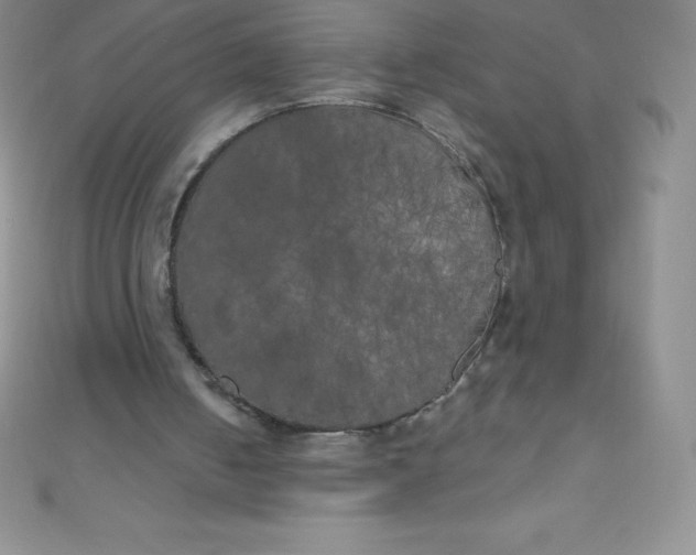 X0000111000050200907022145