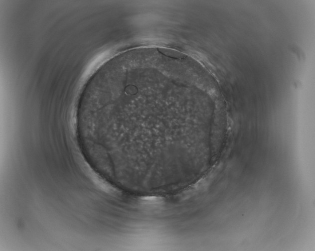 X0000111000053200907022146