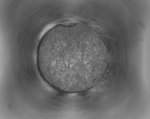 X0000111000054200907022146