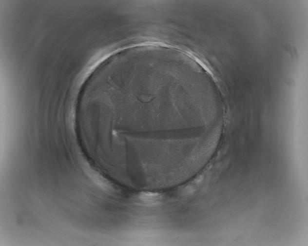 X0000111000055200907022146