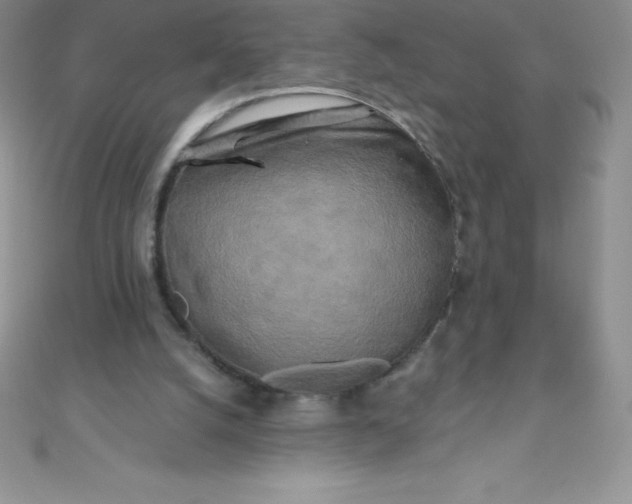 X0000111000056200907022146