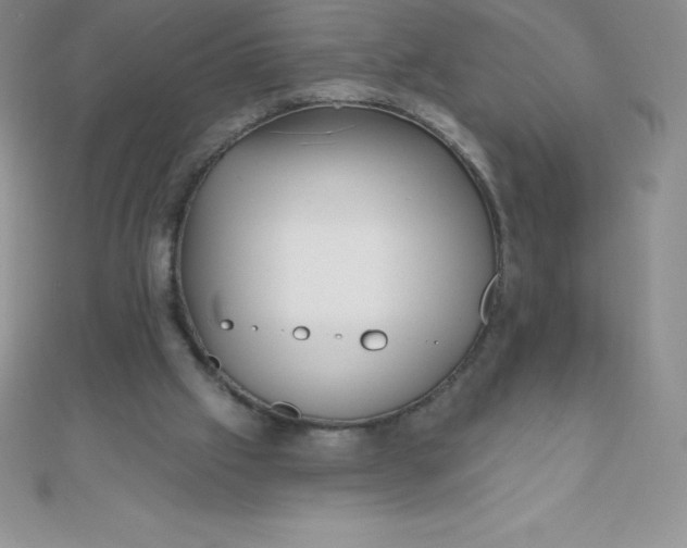 X0000111000057200907022146