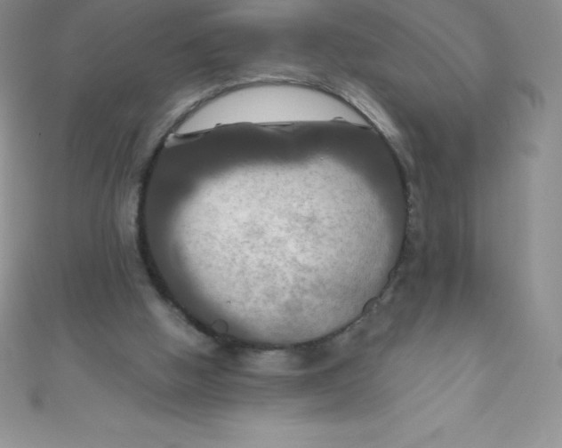 X0000111000058200907022146