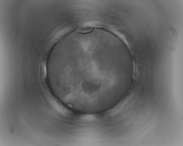 X0000111000061200907022146