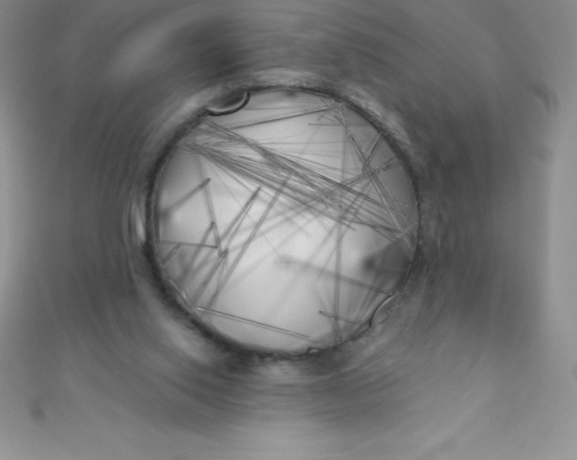 X0000111000062200907022146