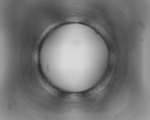 X0000111000064200907022146