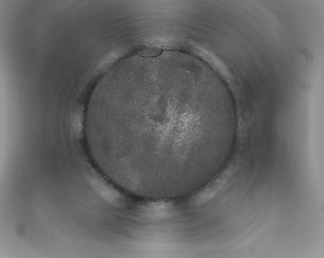 X0000111000065200907022146