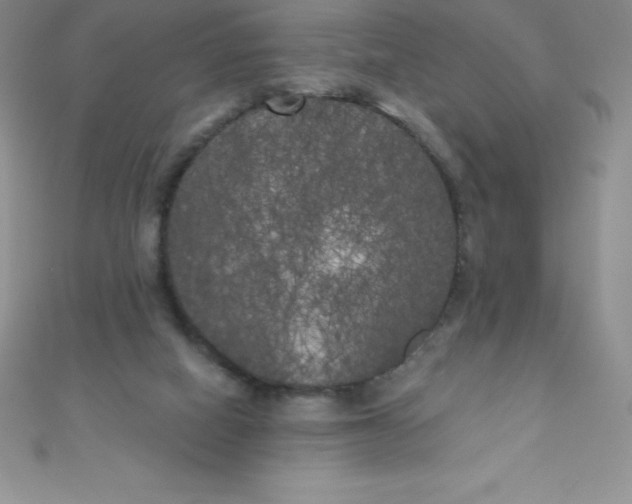 X0000111000066200907022146