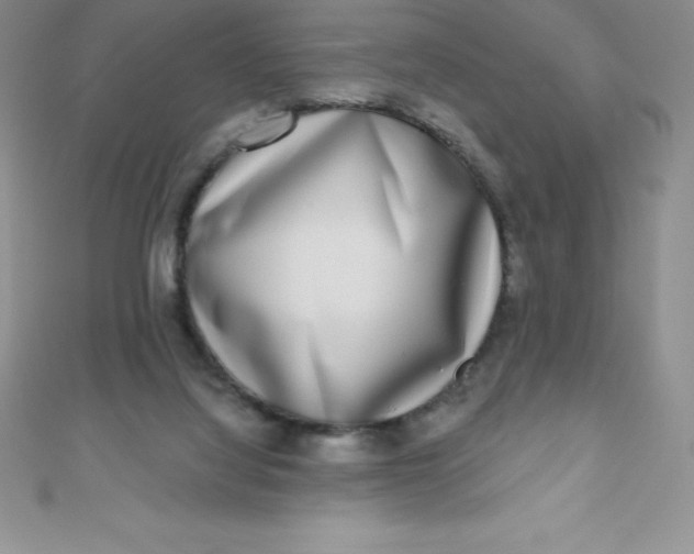 X0000111000068200907022146