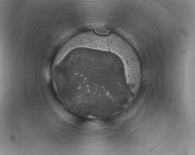 X0000111000069200907022146