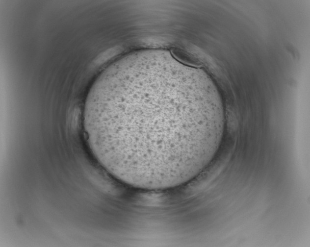 X0000111000071200907022146