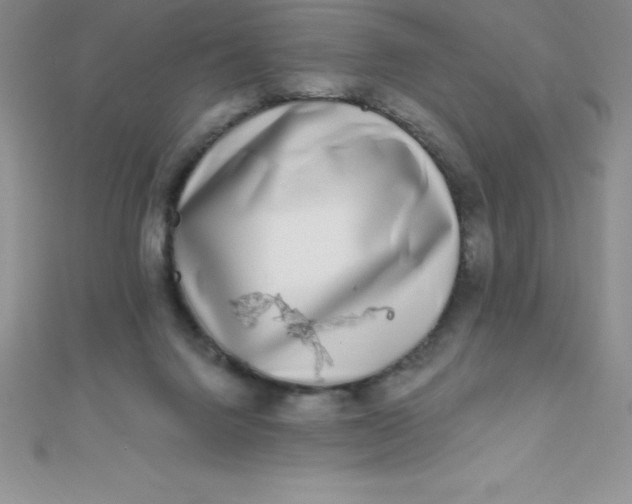 X0000111000072200907022146