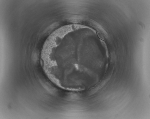 X0000111000073200907022146