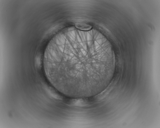 X0000111000074200907022146