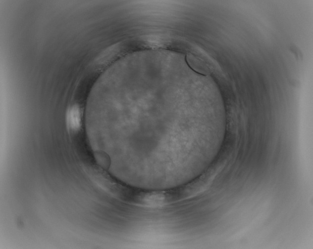 X0000111000075200907022146