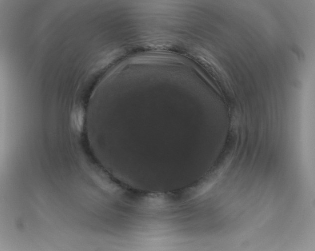 X0000111000076200907022146