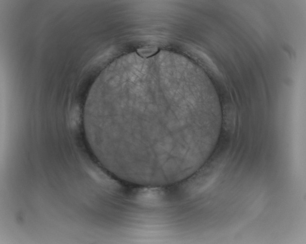 X0000111000077200907022146