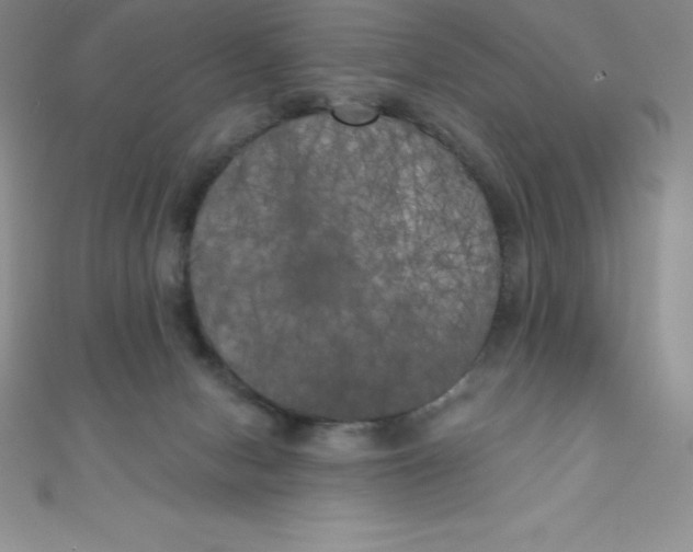 X0000111000078200907022146