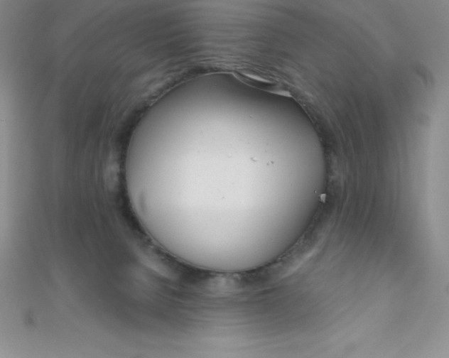 X0000111000080200907022146